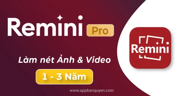 Remini Pro